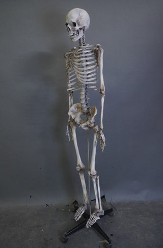 Crime Scene Skeleton