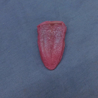Silicone Tongue