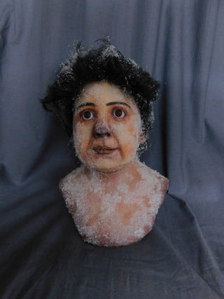 Frozen Toddler Child Head Prop