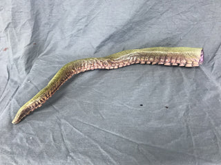 2ft Poseable Octopus Tentacle Prop