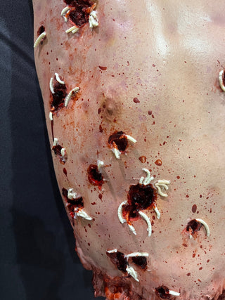 Maggot Holes Olly Photo Op