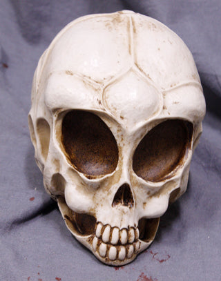 Decorative Alien Skull