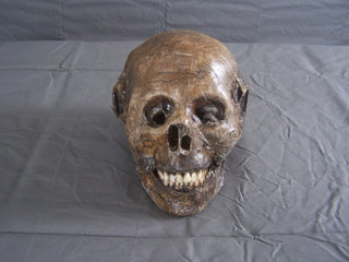 Mummified Remy Skull