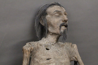 Tony Mummy with Beard