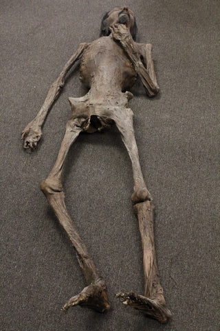 Tony Mummy with Beard