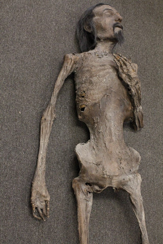 Tony Mummy with Beard