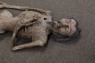 Tony Mummy with Beard