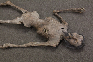 Tony Mummy with Beard