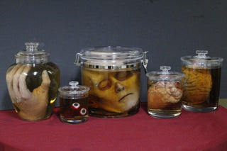 Body Parts Shatterproof Specimen Jar Combo