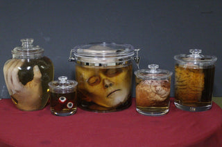 Body Parts Shatterproof Specimen Jar Combo