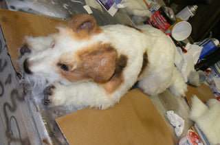 Spotted Terrier Dog Prop