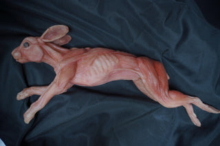 Silicone Skinned Rabbit