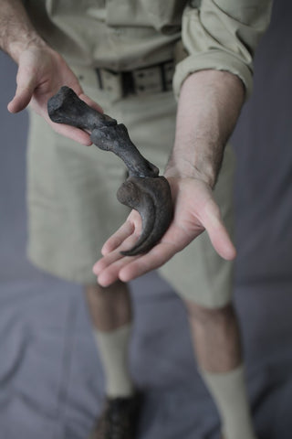 Stunt Dinosaur Finger Rental