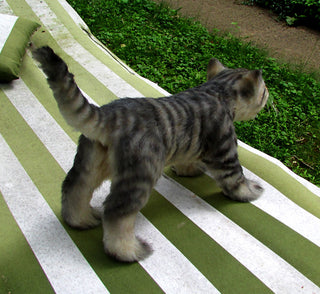 Gray Tabby Kitten Prop - Special Order