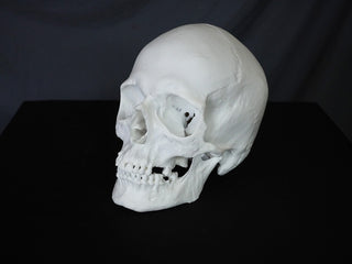 Riley Skull
