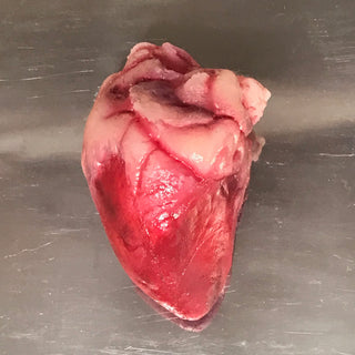 Silicone Organs