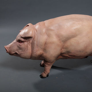 Farm Animal Props