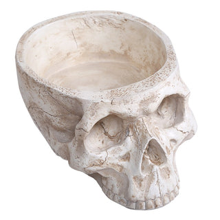 Skull Planter