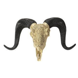 Ram Skull