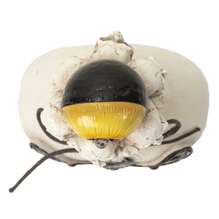 Death's Head Moth Bottle