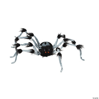 Gray Walking Spider