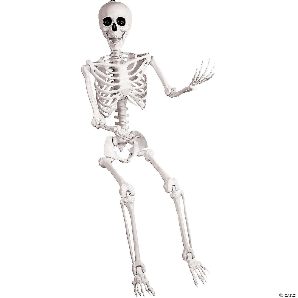 5ft Poseable Skeleton – Dapper Cadaver Props