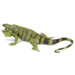 Striped Iguana Replica