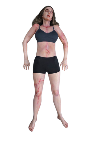 Meredith Cadaver Body