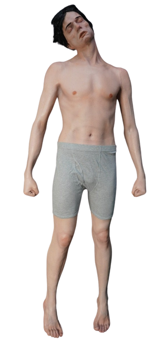 Alan Full Body