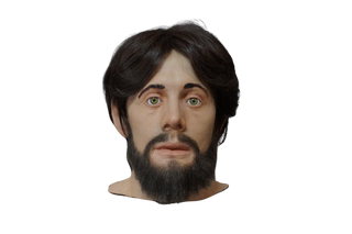 Bearded Joe Head