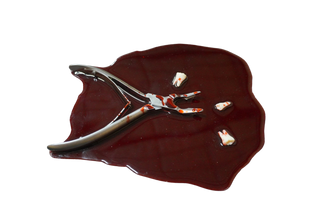 Blood Pool with Teeth and Tooth Extractor