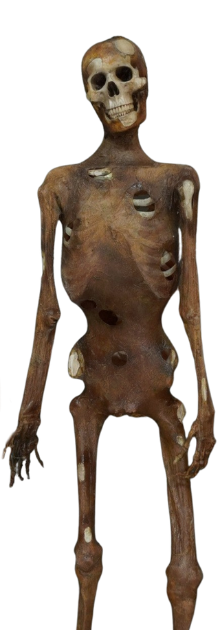 Boney Mummy Prop