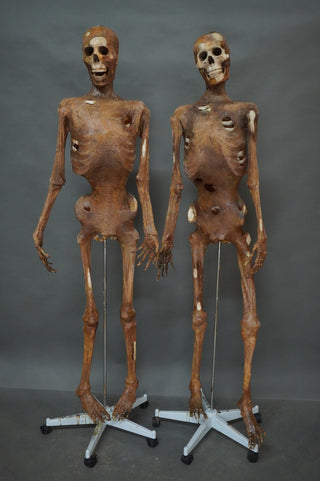 Boney Mummy Prop