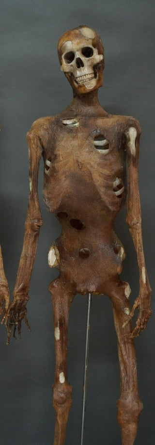 Boney Mummy Prop
