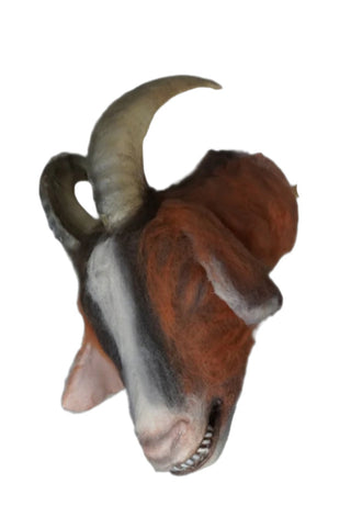 Furry Severed Goat Head