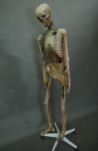 Tarim Mummy