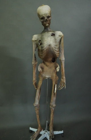 Tarim Mummy