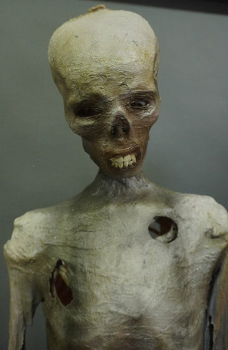 Tarim Mummy