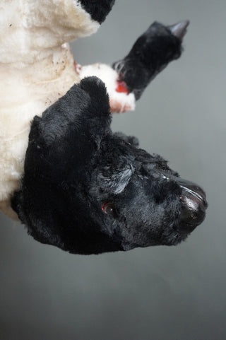 Field Skinned Lamb