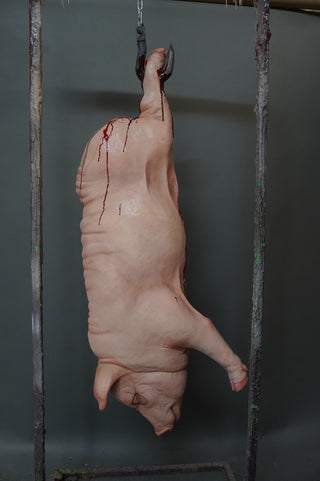 Hanging Full Side of Pork
