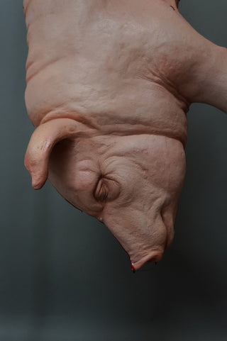 Hanging Full Side of Pork