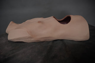 Silicone Abdominal Surgery Joe Torso