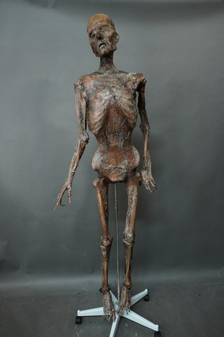 Gila Mummy Prop