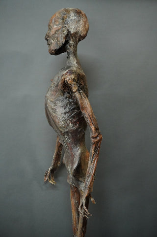 Gila Mummy Prop