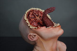 Chomping Clark Mouth Monster Head
