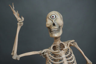 Adult Cyclops 5.5 Ft Standing Skeleton with Poseable Arms