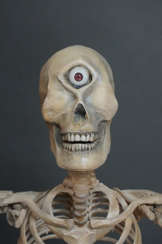 Adult Cyclops 5.5 Ft Standing Skeleton with Poseable Arms