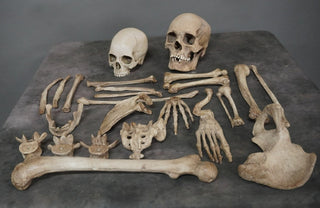 Deluxe Skull and Bones Assortment 25 pcs