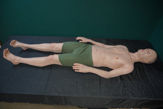 Frank Full Body