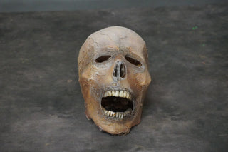 Memphis Mummy Skull